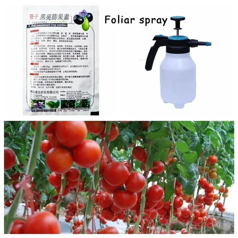 5 шт. специальные удобрения для помидор и баклажанов