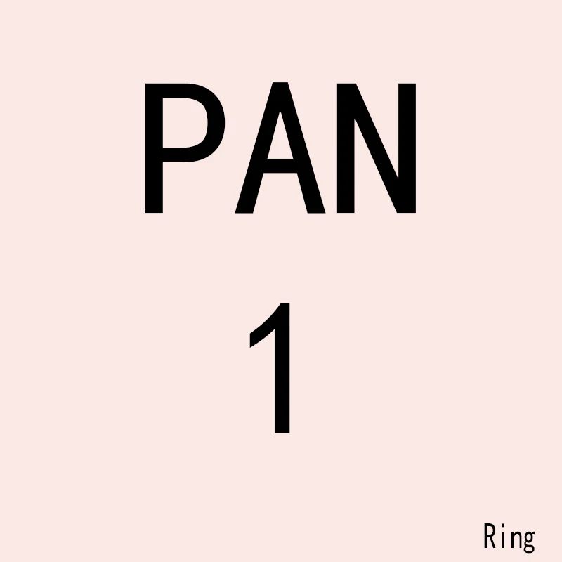 

PAN JZ 1