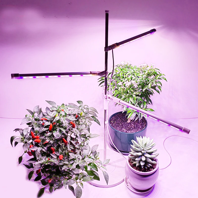 For Indoor Plants Red Blue 4000k Full Spectrum Plant Growing Lamp With Timmer For Hydroponic Flower Seedling Herb