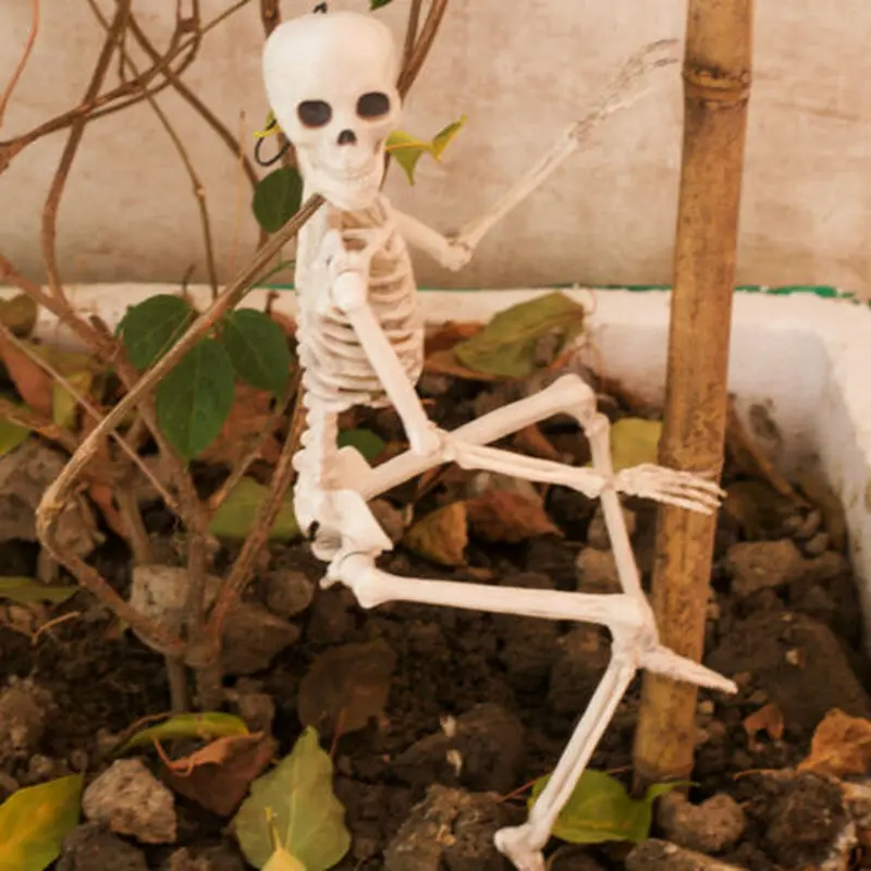 Искусственный скелет человека 40 см