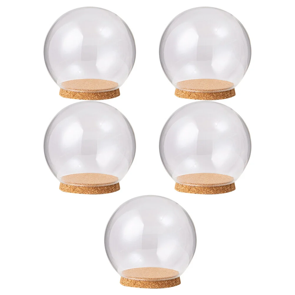 

Tray Simple Preserved Flower Glass Cover Dome Adornment Holder House Accessories Home