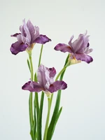 Необычное украшение для сада или даже устрашение#1