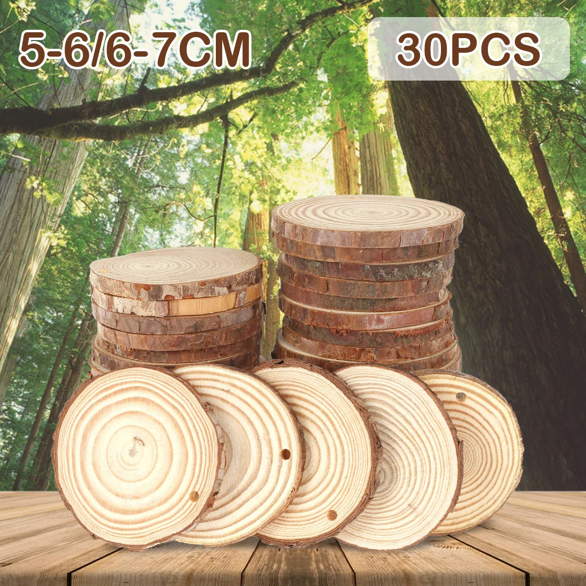 

30pcs Natural Wood Slices Unfinished Wooden Log Kit Predrilled Wood Chip with Rope Round Wooden Circles for Arts Painting DIY