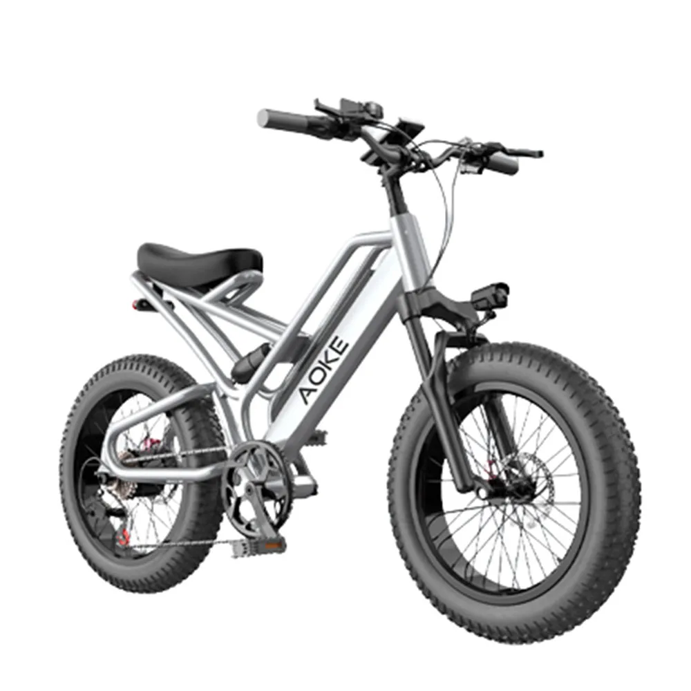 

20 Inches Electric Bicycle Lithium Battery Aluminium Alloy E-Bike Dual Disc Brake 48V 12/15Ah Cross-Country Variable Speed