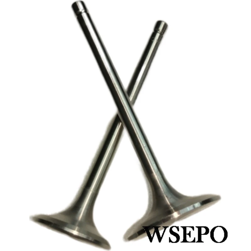 Комплект впускного и выпускного клапана для Changchai или аналогичного S195 ZS1100