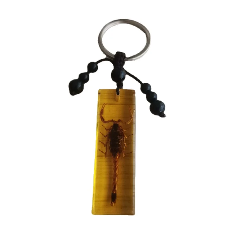 

Artificial Amber Car Key Pendant Insect Specimen Scorpion Keychain Series Creative Gift Insect Stone Handicraft Home Decoration