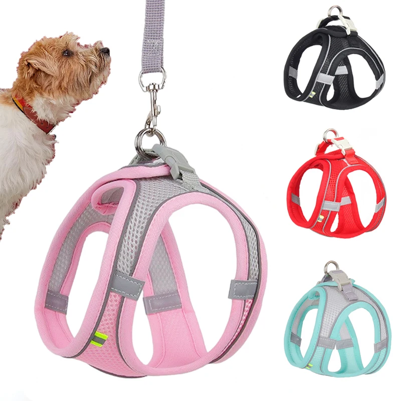 

CoolPet Bite Resistant Dog Collar Leash Wholesale No Pull Luxury Adjustable Mesh Custom Logo Dog Harness With Collar