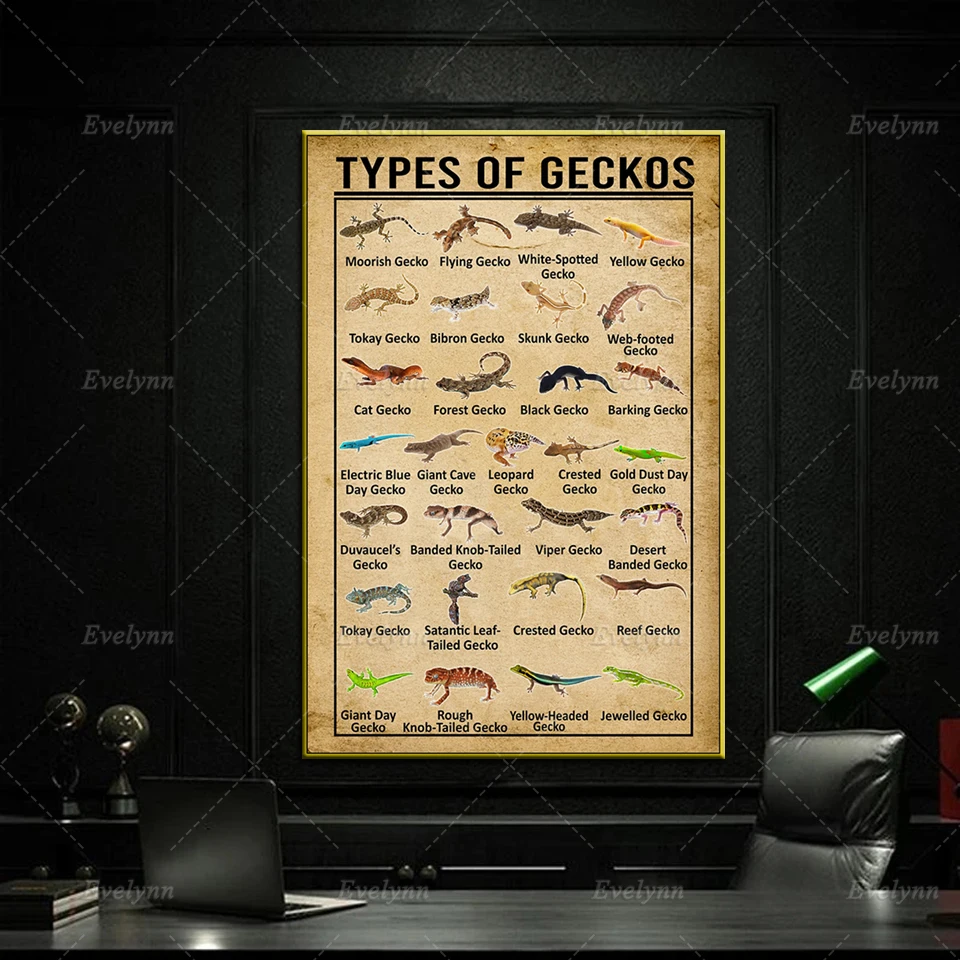 

Types Of Geckos Vintage Animal Poster Nordic Modern Home Living Room Decor Wall Art Prints Picture Gift