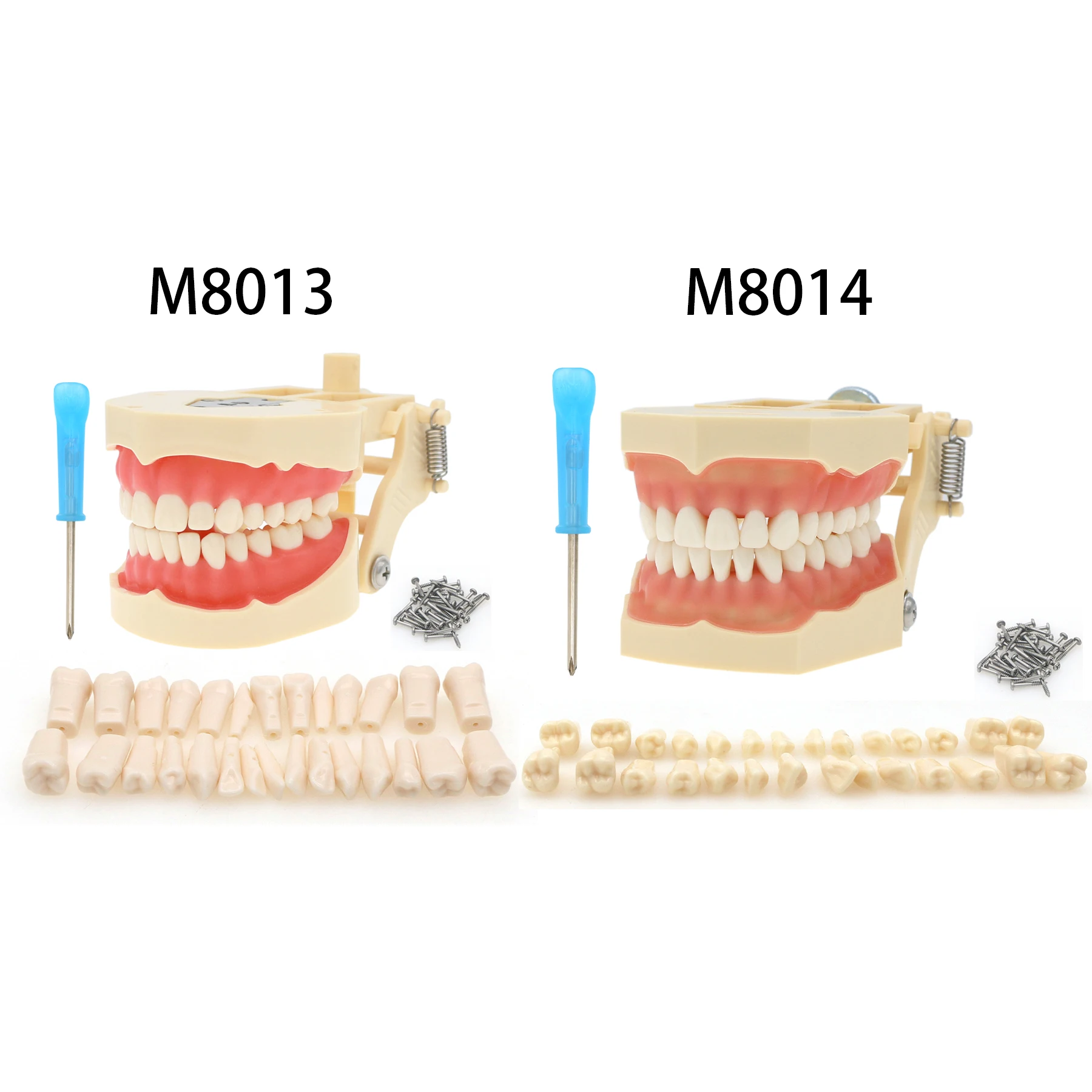 Тип Frasaco AG3 зубная восстанавливающая модель зубов стандартной длины 28 шт./32 шт. для