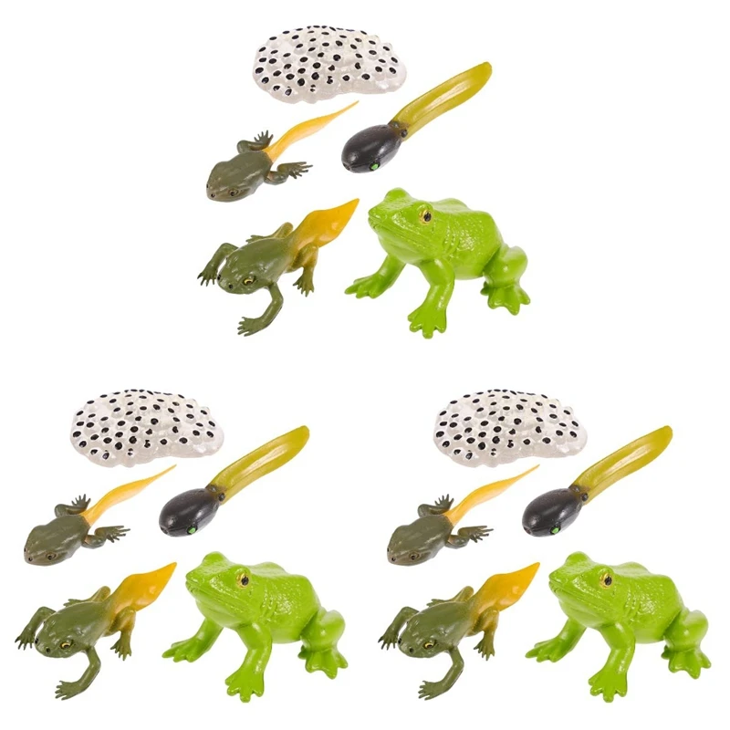 

3 Sets Simulation Frog Life Cycle Figures Growth Stage Model Toys For Kids Children Biology Educational Teaching Aids
