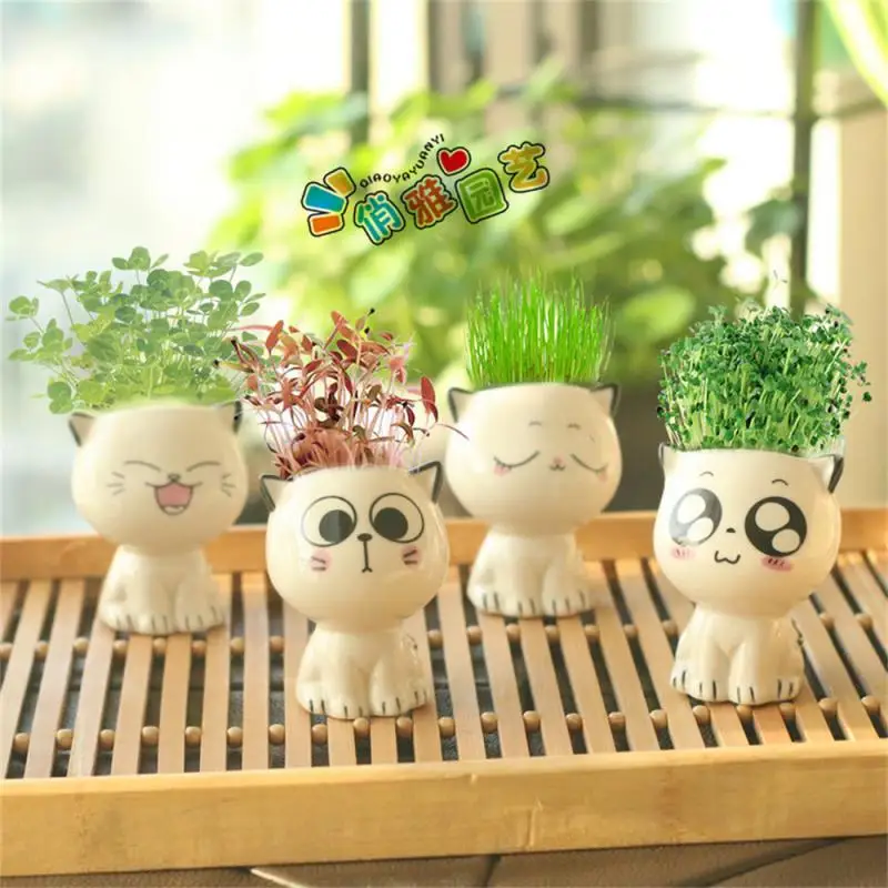 

Mini Cat Shaped Ceramic Flowerpot Cartoon Cute Potted Plant Desktop Expression Cat Plant Pot Desk Decorate Small Ornament