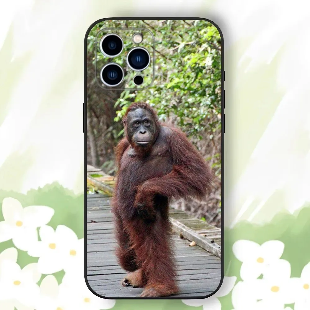 Чехол для телефона Monkey Sipping baboon iPhone 16 15 14 13 12 11 Plus Pro Max XS XR SE Mini 8 7 мягкий силиконовый