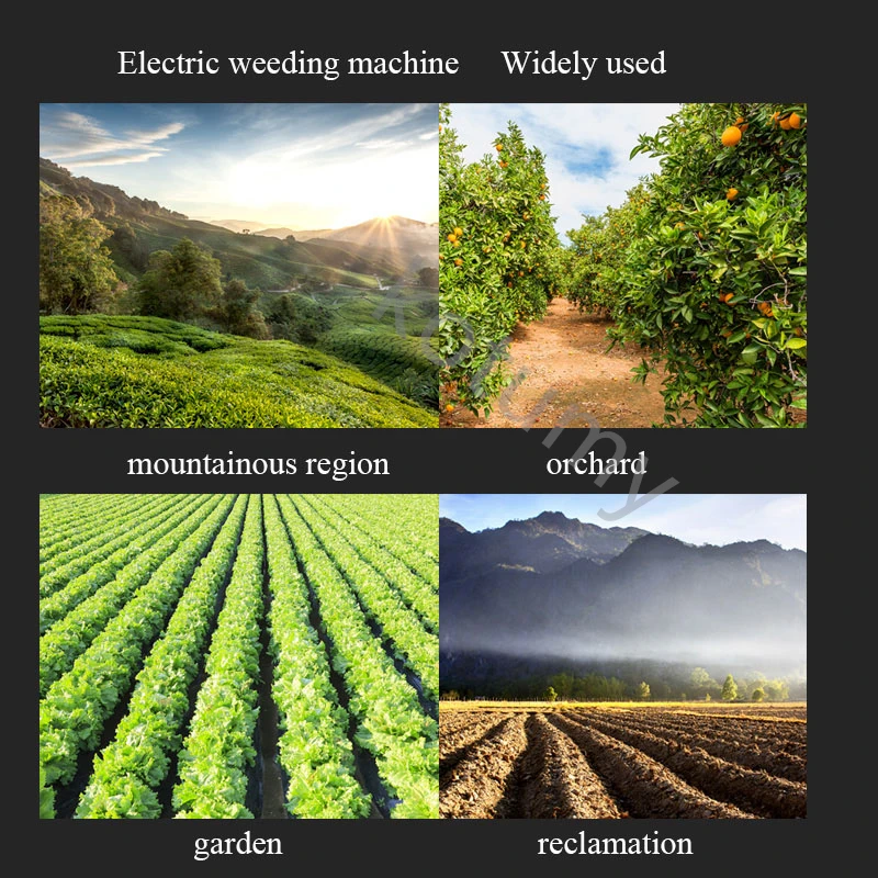 Электрическая машина для выполнения сельскохозяйственных земель