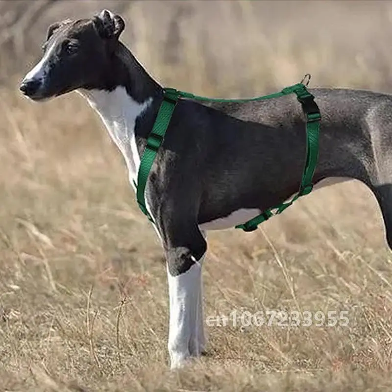 Husky H-Shaped Pet Dog Harness Explosion-Proof Soft Chest Strap Medium Large Traction Durable Nylon Leash Accessories