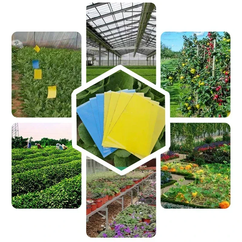 20 шт. Клейкая Двусторонняя ловушка для насекомых и