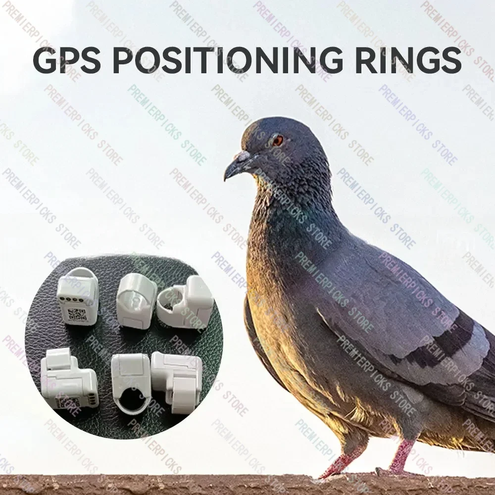 1 шт. кольцо для GPS-слежения с попугаем и птицей 110 мАч белый гоночный голубь