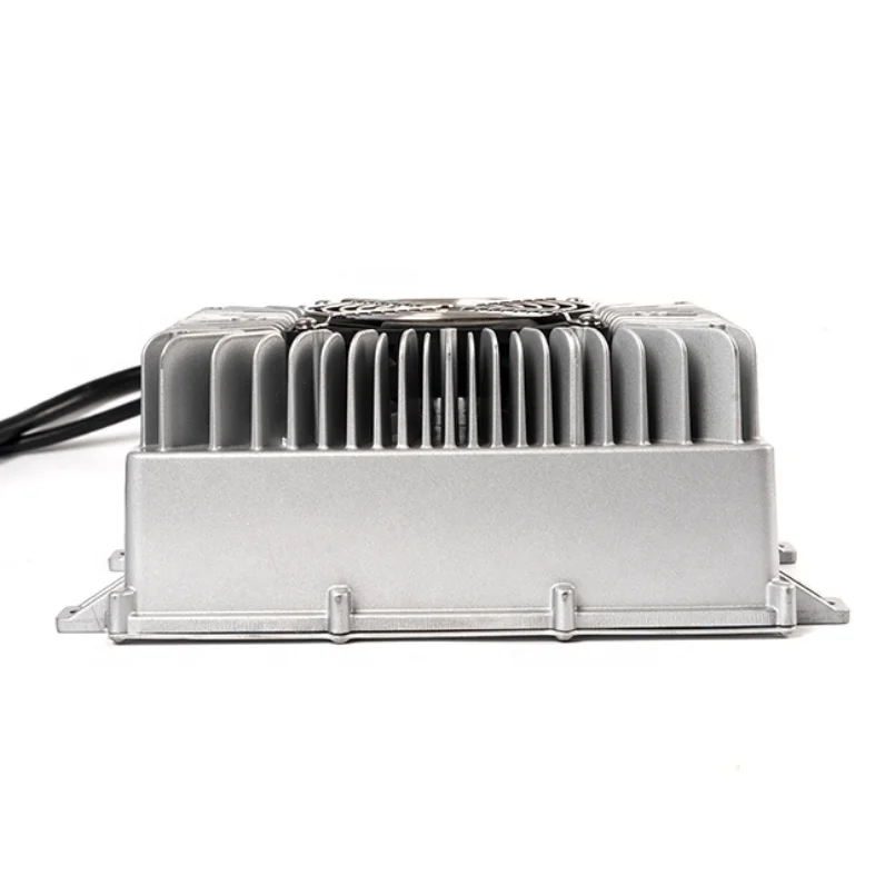 

Ev Charger for 48v Lithium Phosphate Battery Obc Battery Car Charger on Board Charger