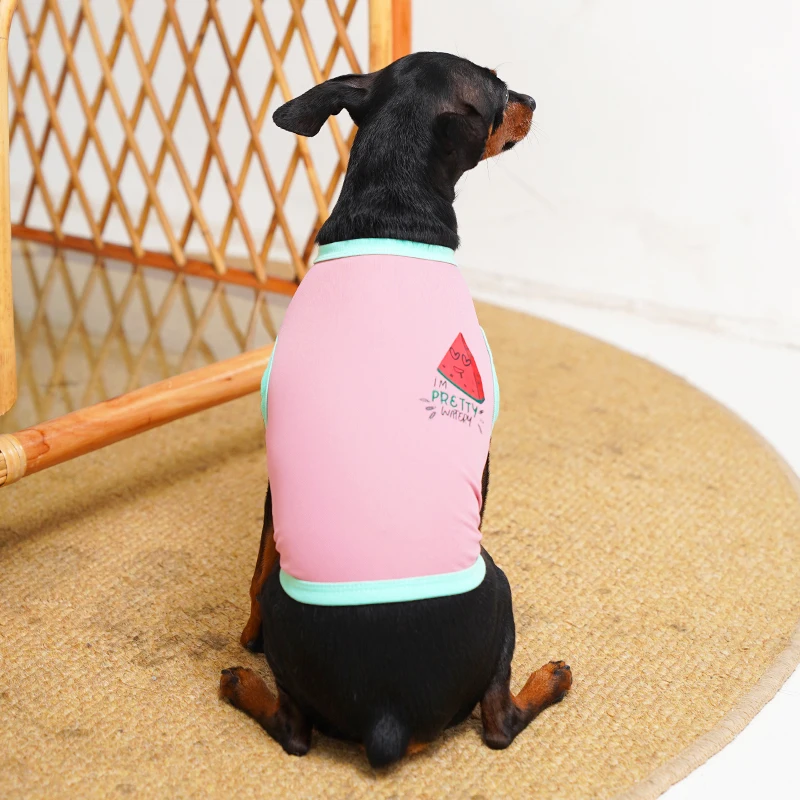 

Summer Dog Clothes with Watermelon Pattern in Elastic and Breathable Fabric