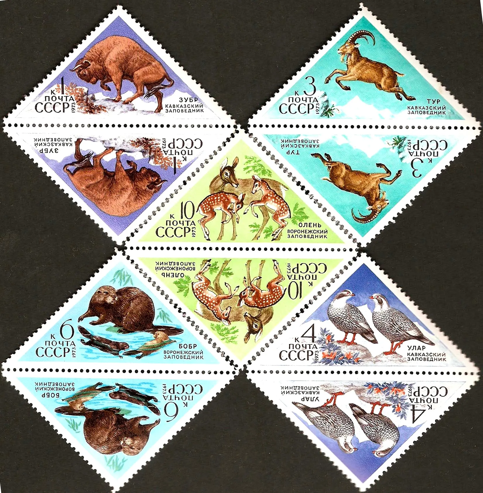 

5 шт., CCCP,1973, животные в природных залах, реальный оригинал, высокое качество, коллекция хорошего состояния