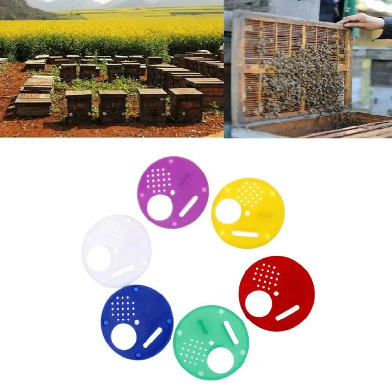 

Beekeeping Beekeeper Box 6pcs Hive Door Plastic Entrance Disc Bee