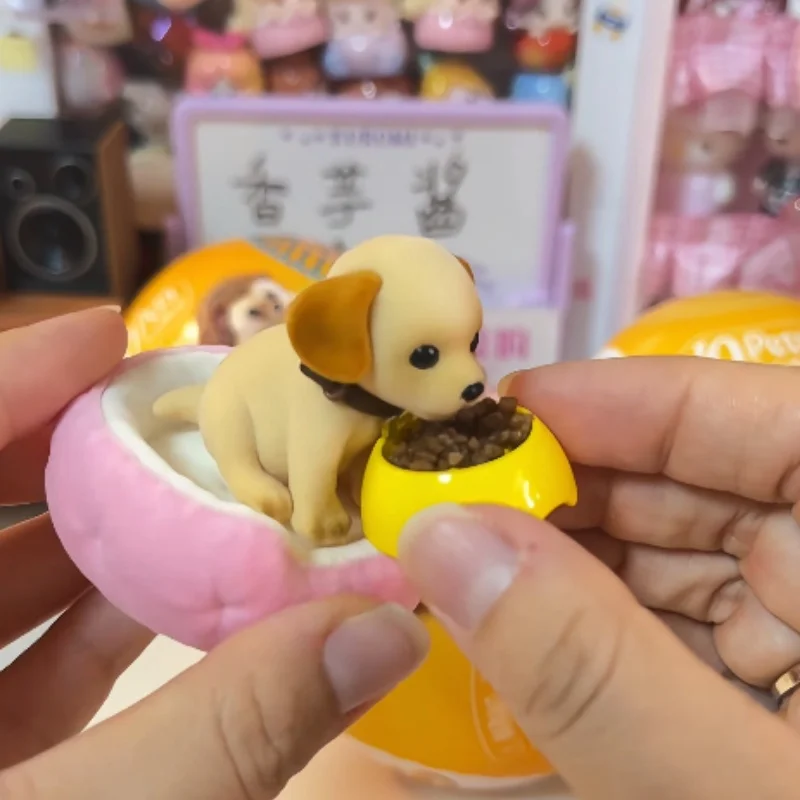 Фото В наличии: ZURU My Mini Pets, игрушка-фигурка ёжика в закрытой упаковке с аксессуарами для коллекционеров и любителей животных, коллекционный шар-сюрприз. №4
