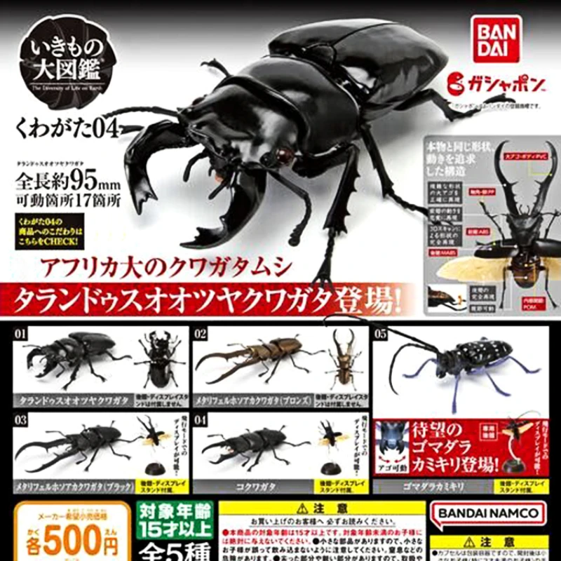 

Bandai Gashapon Toy Creature Big Picture Beetle 4 Simulation Big Flat Shovel Armour Pet Assembled Decoration Model for Kids Gift