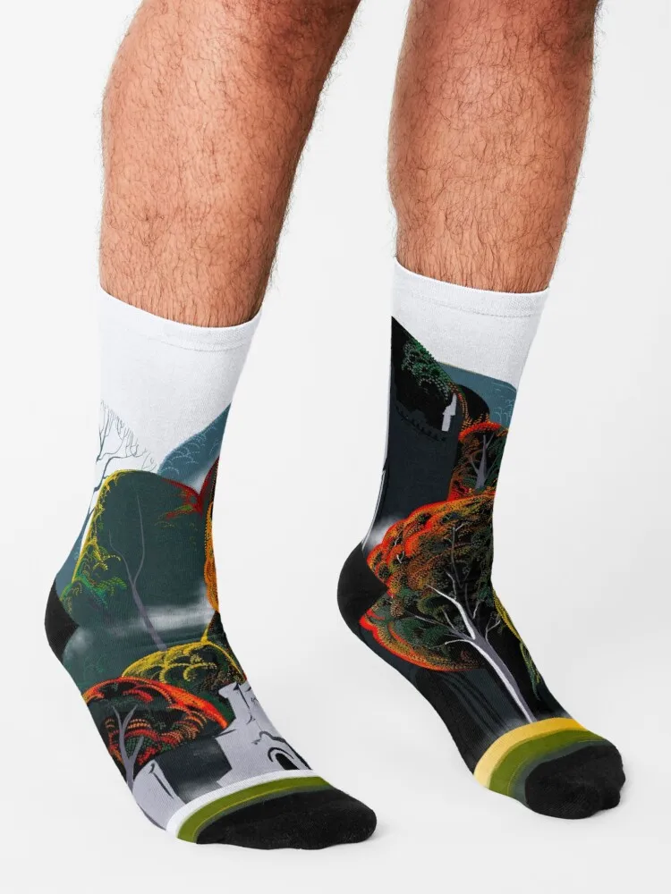 Носки Carleton для колледжа женские теплые носки