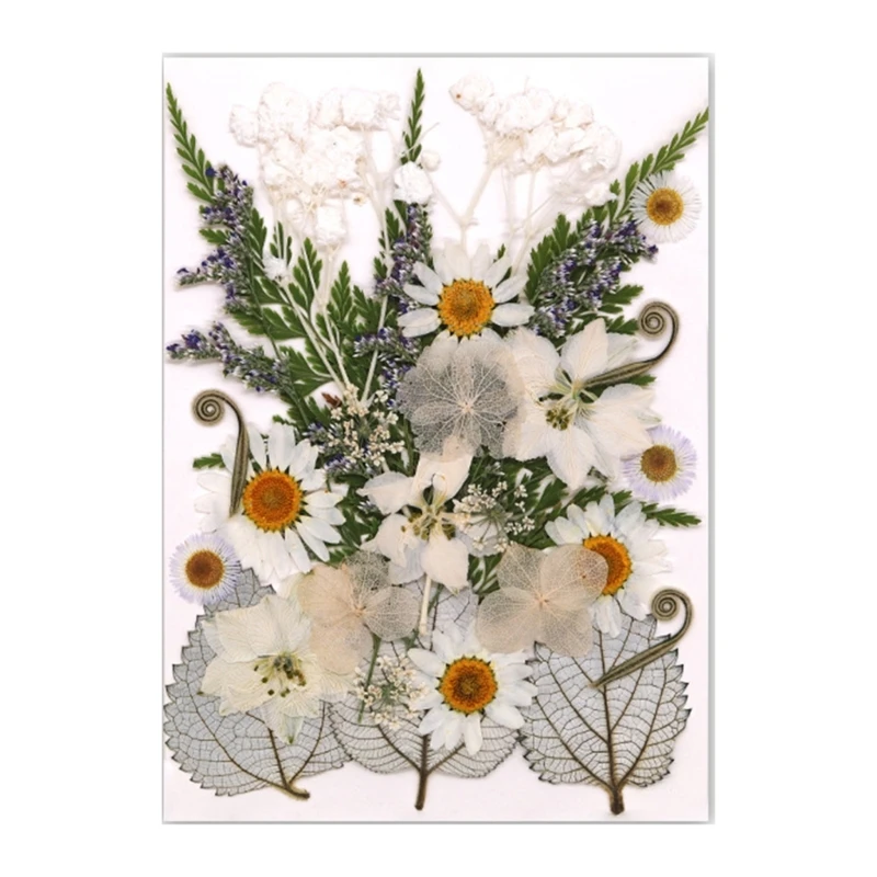 

Натуральные прессованные цветы для творчества 30 шт