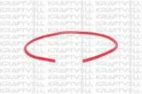 

Дополнительный шланг для бака DKS на 10030884 год