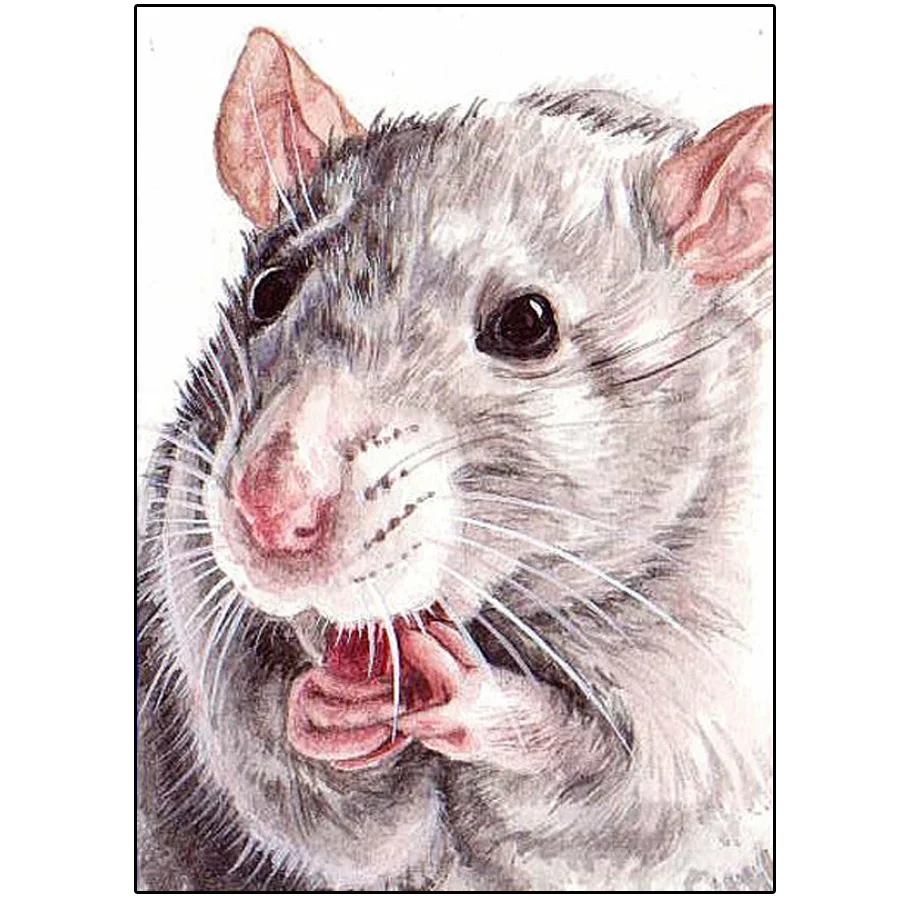

Full Square round Diamond Painting little mouse 5d diamond mosaic Home Decor Embroidery Picture Handcrafted Mosaic Art