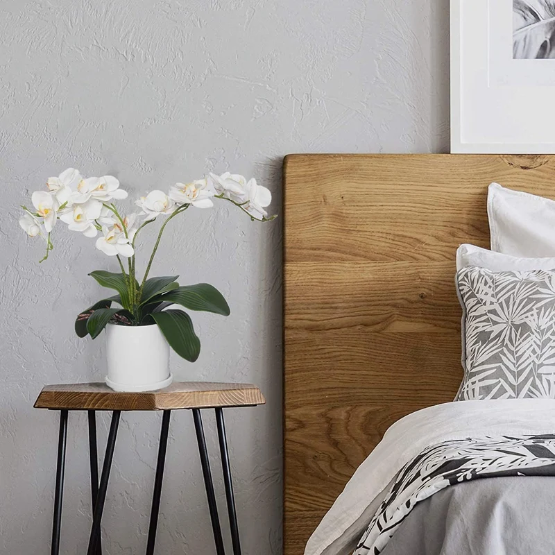 Орхидеи фаленопсис листья искусственные натуральные корни латексные контактные