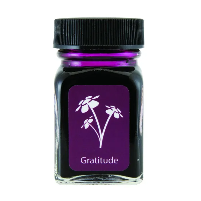 Ручка чернильная американская 30 мл водостойкая быстросохнущая без углерода