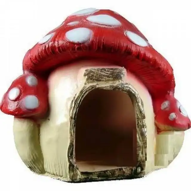 

R-34 Mushroom House 229449168