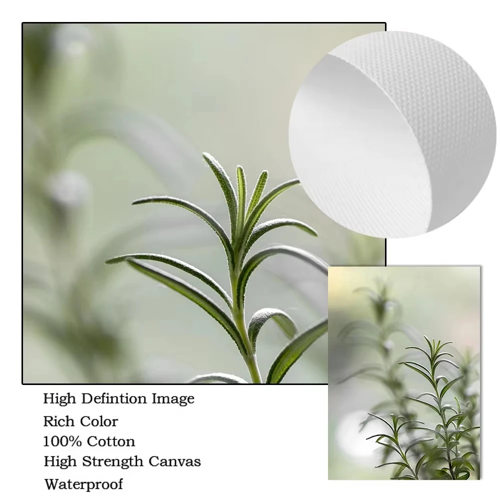 Растения-суккуленты кактус холст картина плакат зеленые листья искусство печать