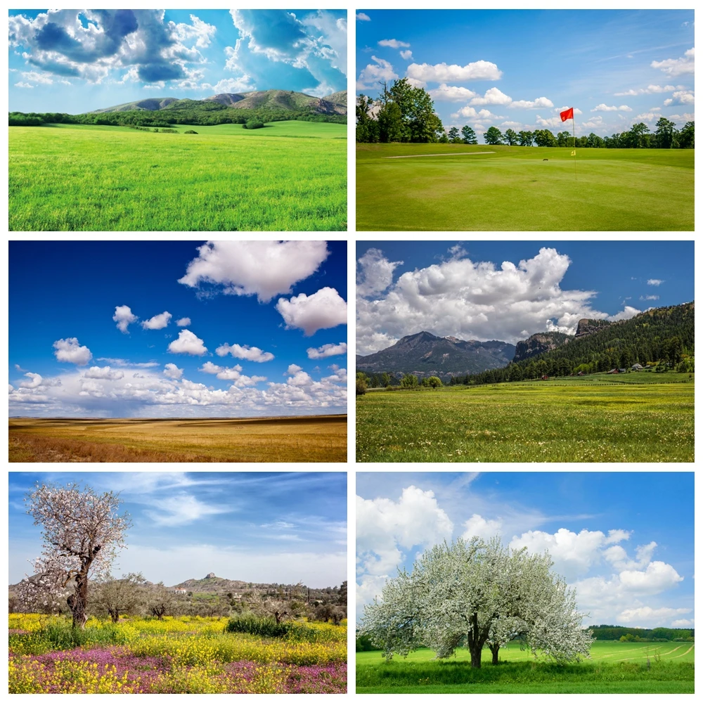 

Blue Sky Green Grass Cloudy Backdrop Spring Natural Scenic Photographic Backdrop Photo Background Studio Photography Accessories