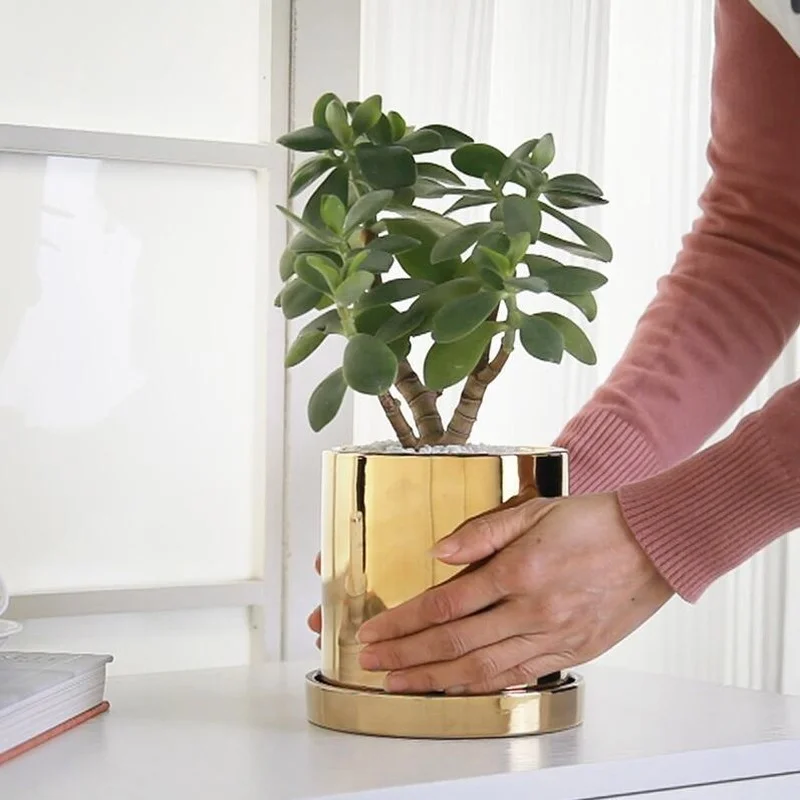 

Латунная ваза, ваза для цветов, позолоченные вазы, украшение для дома, гостиной, домашняя ваза, цветочные горшки, декоративная ваза