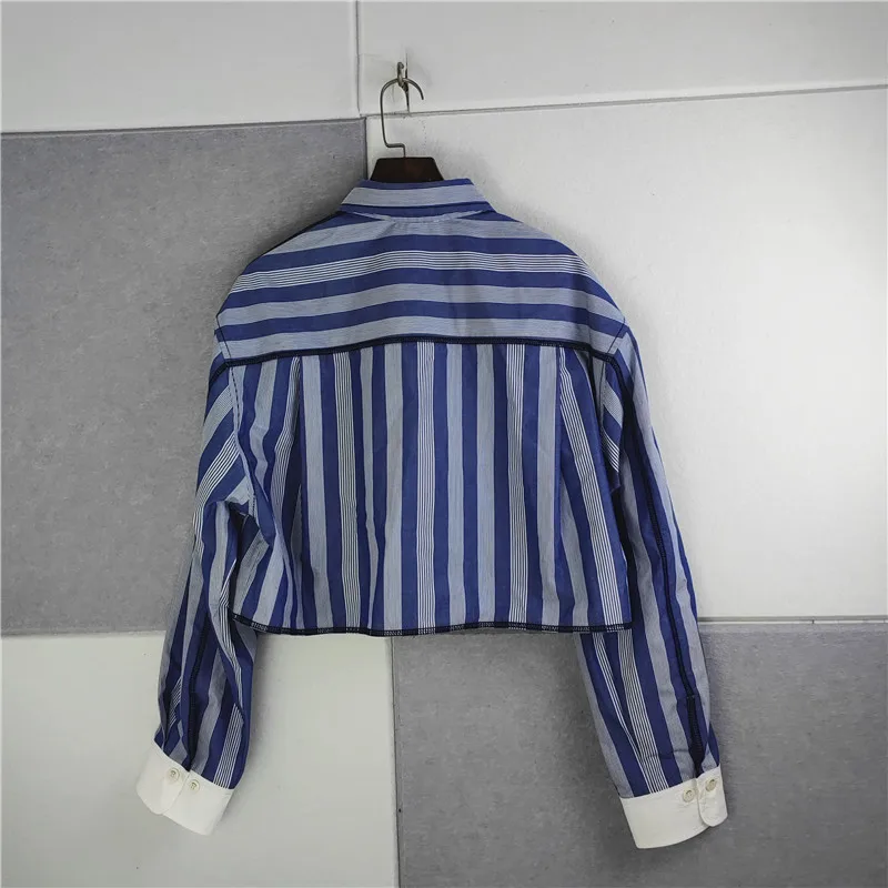 

Women's Vertical Stripe Turn-down Collar Shirt Raglan Sleeve Single Breasted Casual Blouse