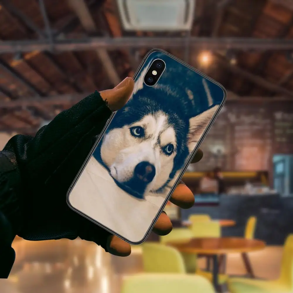Регулируемая цена коричневый белый щенок собака для Huawei Nova 8 se pro y5 y9 Mate 20 30 10 40 Lite Pro