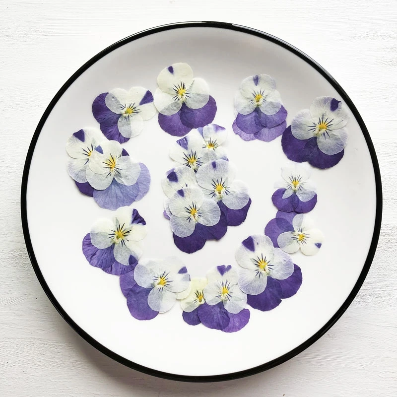 1 Набор прессованных фиолетовых и желтых сушеных Альт Триколор L. Цветочная