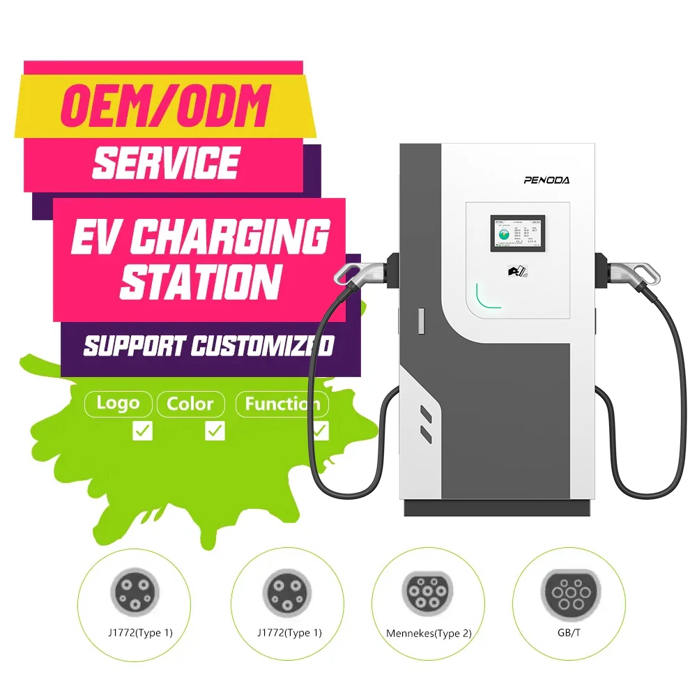 IP55 80kw Ev зарядное устройство для китайского производителя электрическая