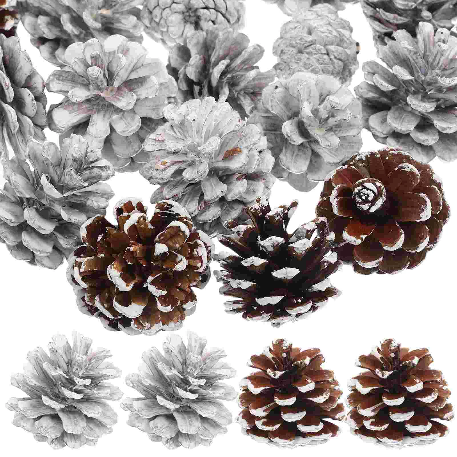 

Pine Cones Christmas Pinecones Ornaments Cone Tree Hanging Diy Crafts Xmas Natural Holiday Snow Small Rusticmini Fall