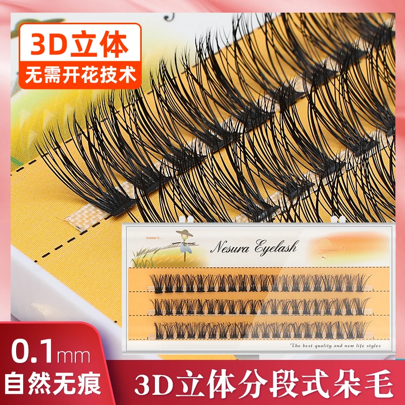 

Grafting World 3D Stereo Dense Natural Graft False Eyelashes 20 Broad Stems Segmented Tufts Of Hairs