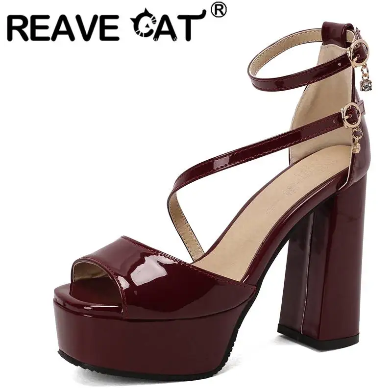 

Женские босоножки с открытым носком REAVE CAT, брендовые сандалии на блочном каблуке 12,5 см и платформе 4,5 см с ремешком и двойной пряжкой, большие размеры 49 50