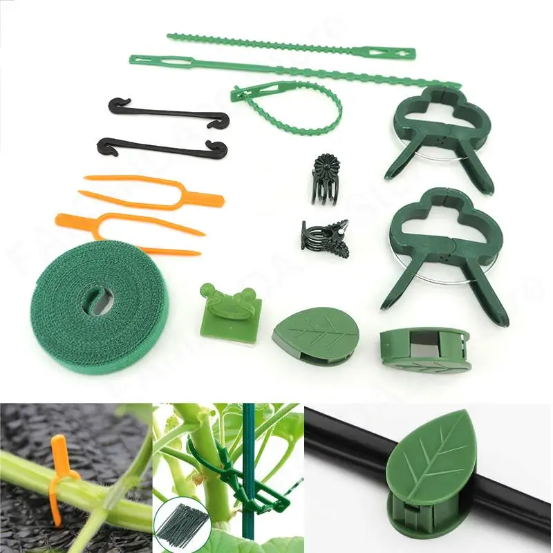 

50pcs Plastic Vegetables Plant Flower Bundle Branch Clamping Support Clips Orchid Stem holder Fixing Vine Tied Garden Tools M20