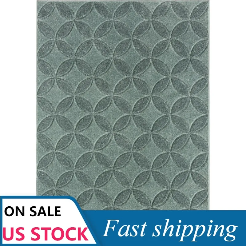 

Лучшие дома и сады резная Гео Крытый акцент коврик, лепестки воды, 5 'x 7'