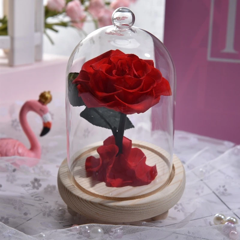 

Wedding Decoration Real Eternal Rose Dried Flower In Glass Cover Mother's Day Gifts Baby Shower Valentine's Day Decor for Home