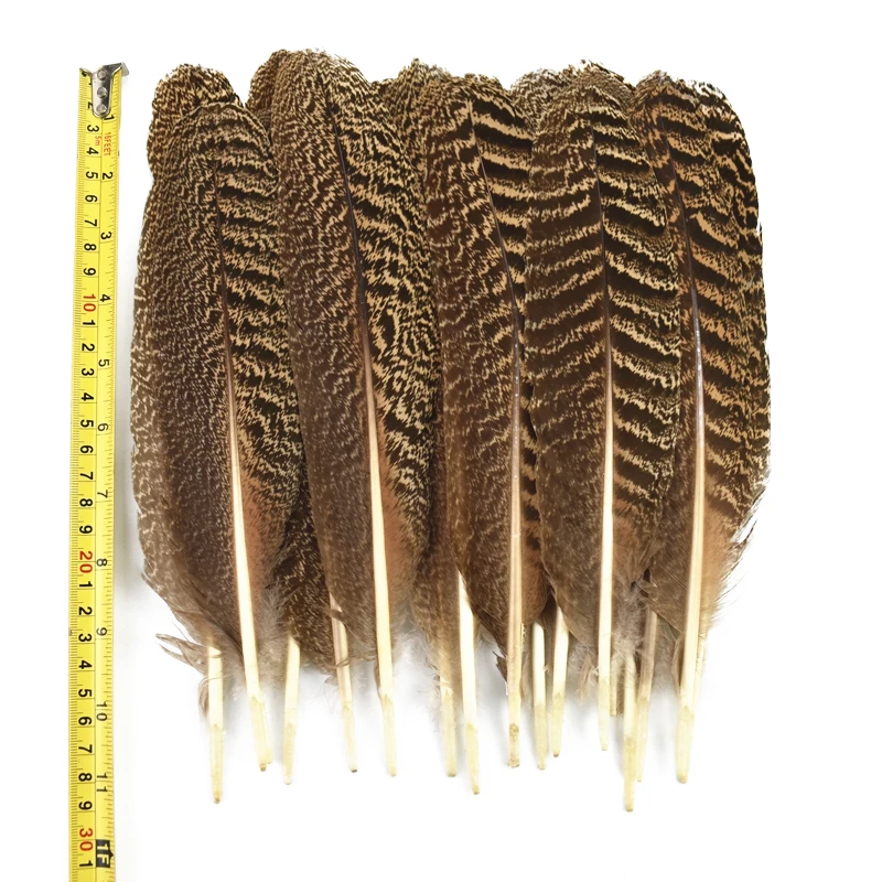 

10Pcs/Lot Natural Peacock Bird Feathers for Decoration 25-40CM Eagle Pheasant Feather Crafts Carnival Wedding Party Accessories