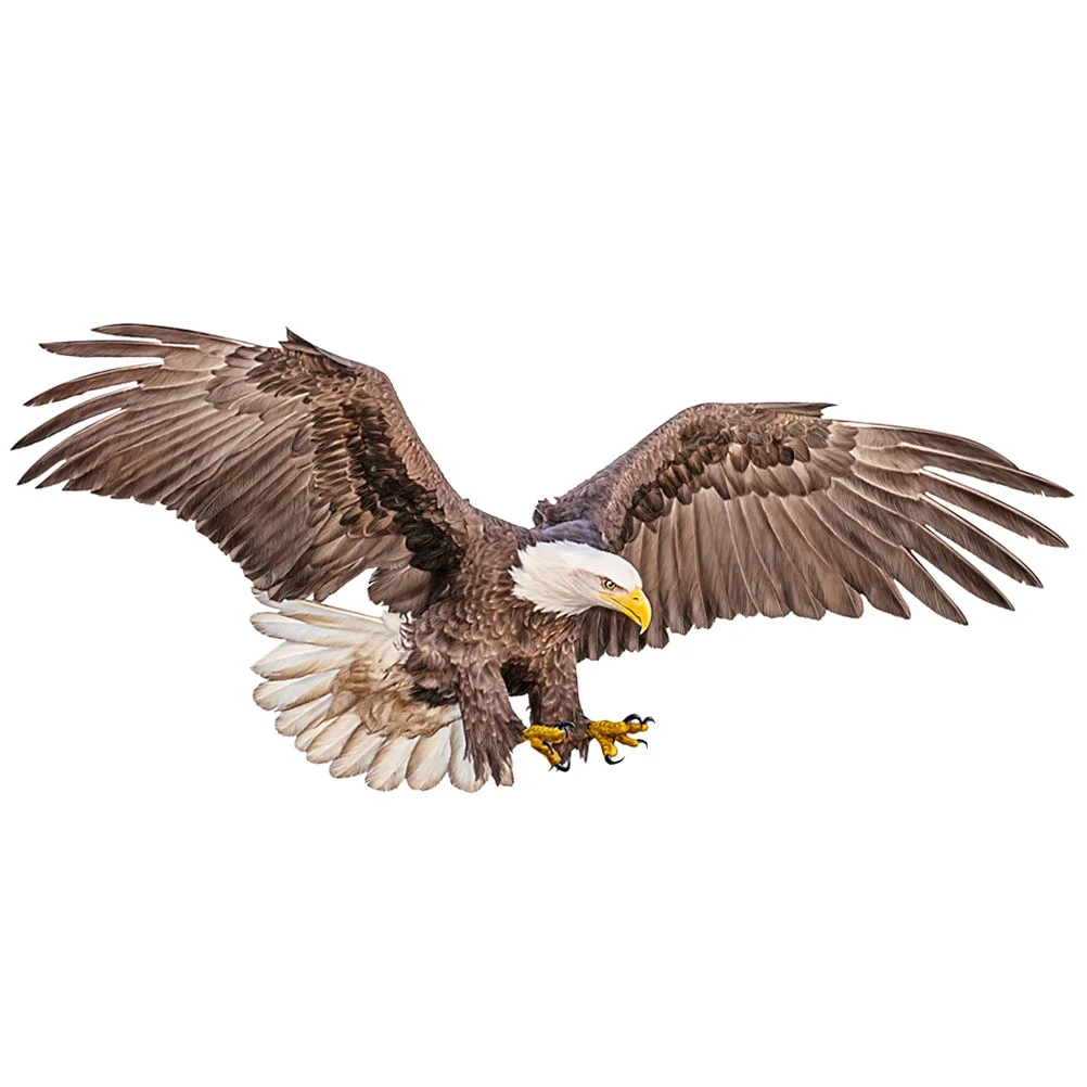 

Dining Table Decor Baby's Room Wall Stickers Living Animal Adhesive Kids Decorations Realistic Eagle Decals