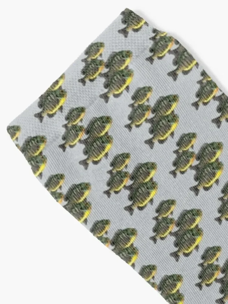 Bluegill Школьные носки Sunfish спортивные яркие Подвязки для мужчин и женщин