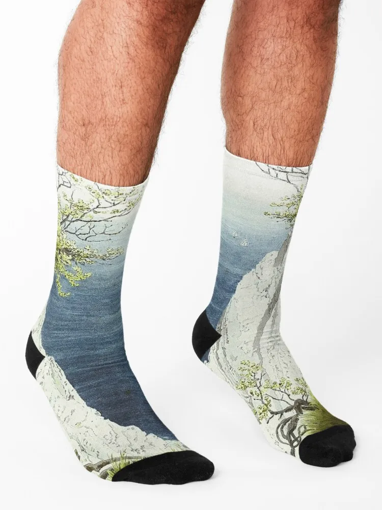 Меловые клиффы в Руеген - Носки Caspar David Friedrich теплые зимние носки для бега футбола